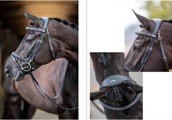 Portanumero Per Briglia Lemieux - Con Numeri Per Competizioni Equestri - Foto 8